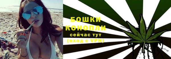 стаф Нефтегорск