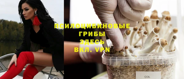 прущие крисы Гусиноозёрск