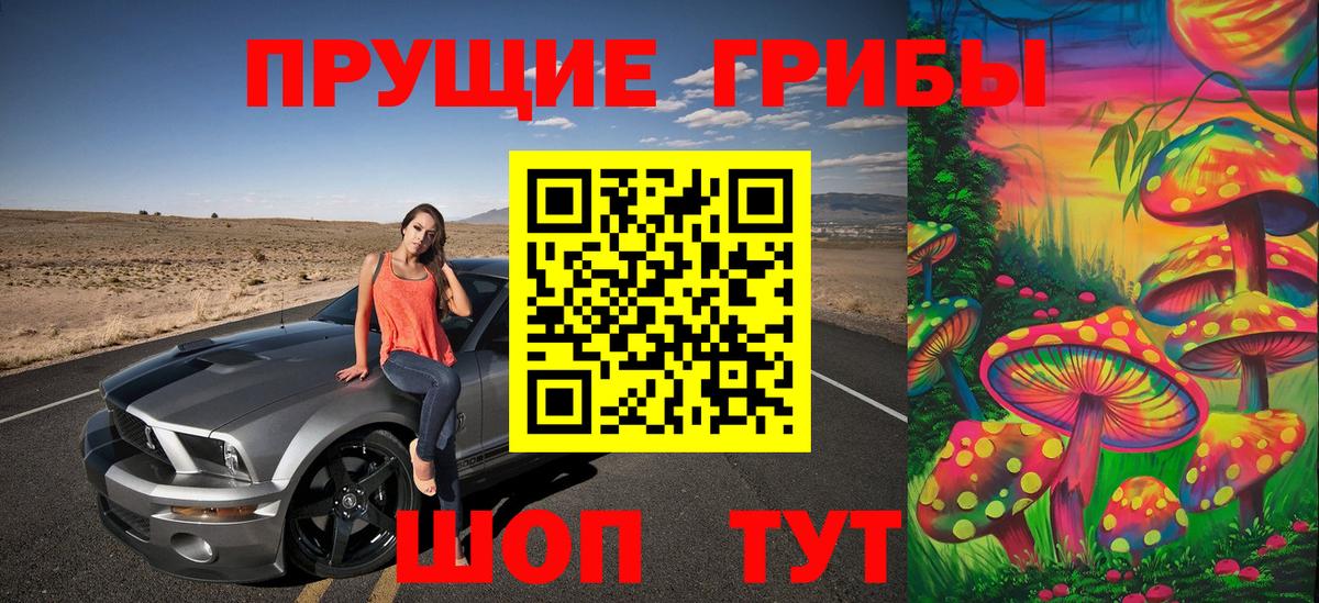 Псилоцибиновые грибы прущие грибы  Дивногорск 