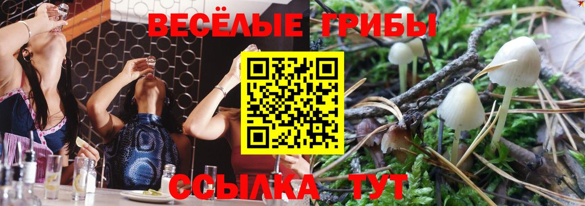 Меф Дивногорск